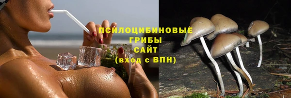 тгк Новодвинск