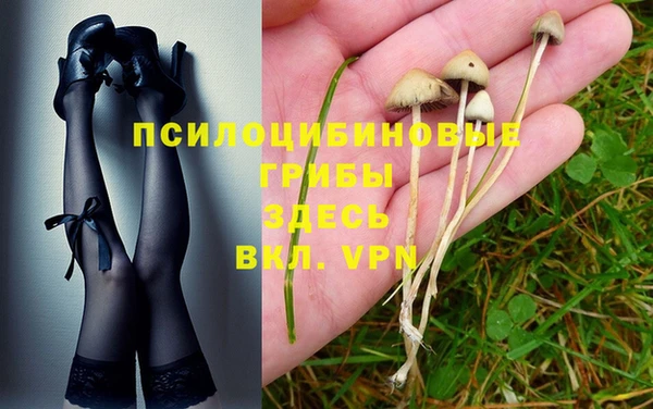 mix Алексин