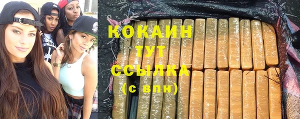 дживик Новозыбков